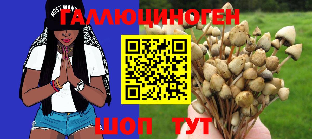Псилоцибиновые грибы Magic Shrooms  Вход с VPN  Крымск 